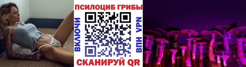 Псилоцибиновые грибы Cubensis  где можно купить наркотик  Белинский 